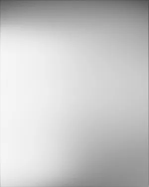 Asko 902607 Dishwasher Decor Panel - - Asko