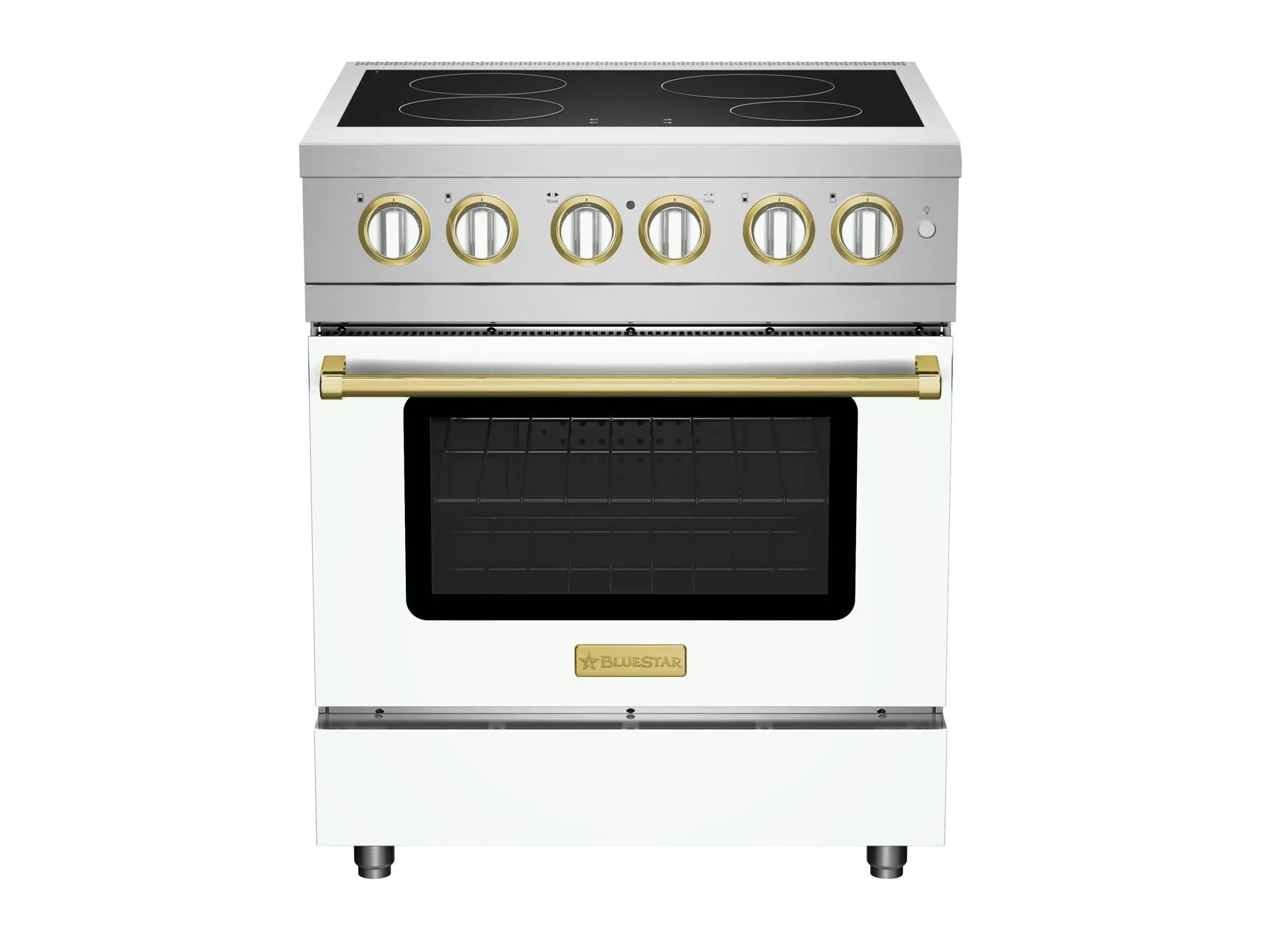 Bluestar BSIR30 30 Inch Induction Range