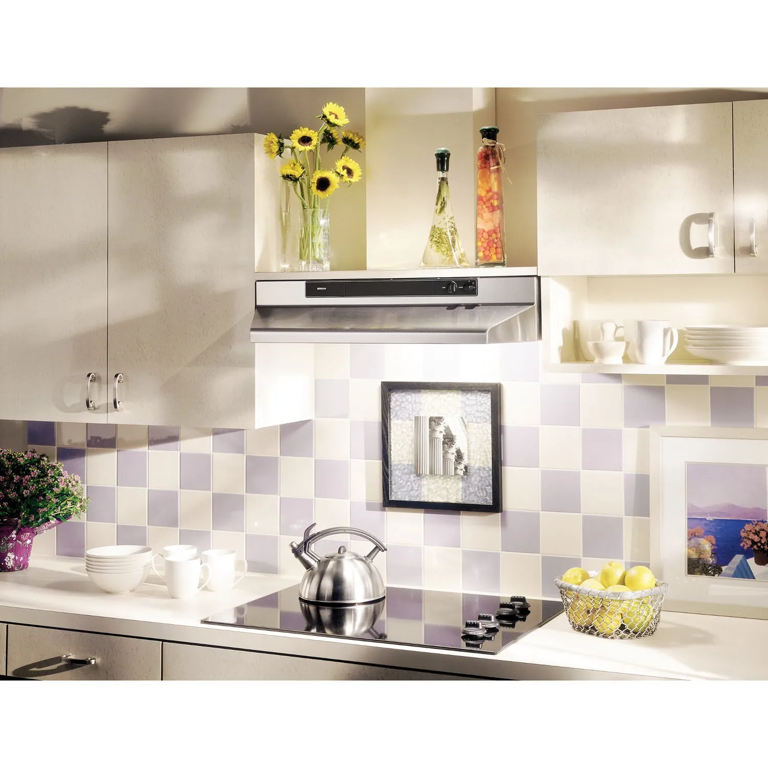 Broan 462404 Broan 24-Inch Convertible Under-Cabinet Range Hood, 220 Cfm, Stainless Steel