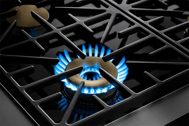 Dacor HDPR30SLPH 30" Dual Fuel Pro Range, Silver Stainless Steel, Liquid Propane/High Altitude