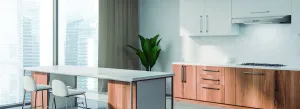 Elica EAL330BL Allasio 30" Bl