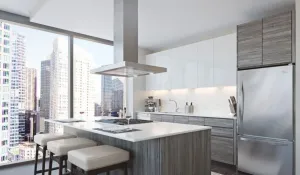 Faber BELAIS42SS600B 42" T-Shape Chimney Island Hood