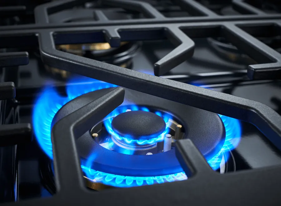 Forzacucina FR366GN 36" Professional Gas Range