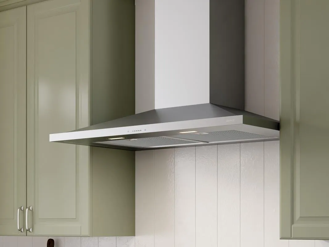 Zephyr ZANE30DBS 30" Anzio Wall